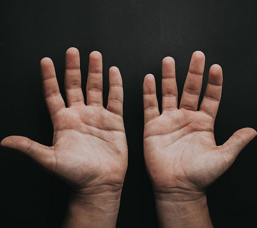 Palm Reading Psychic Consultation