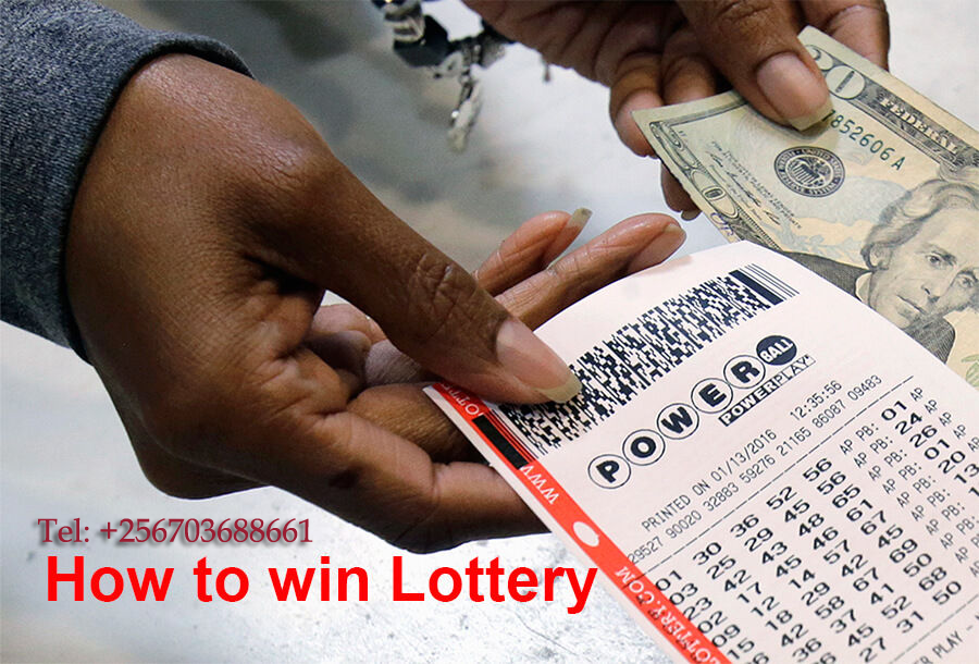 Florida Lottery Winning Numbers +256703688661