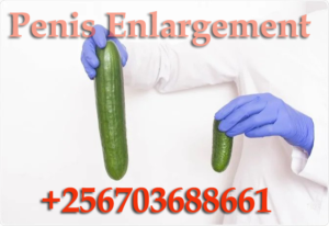 Penis enlargement specialist