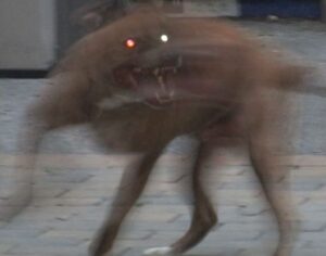 Voodoo Hex Removal Spells